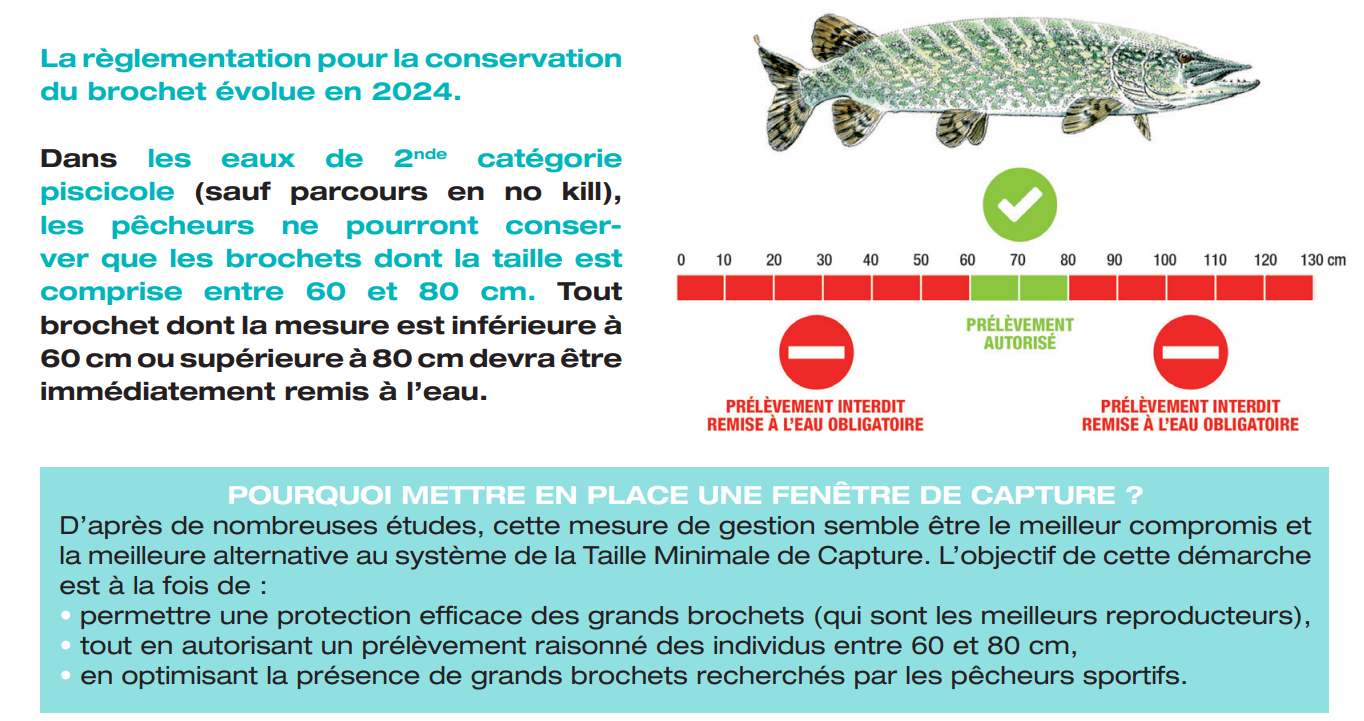 Carnassier - Fédération Départementale du Jura pour la Pêche et la  Protection des Milieux Aquatiques