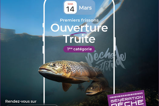 Ouverture de la truite 2026